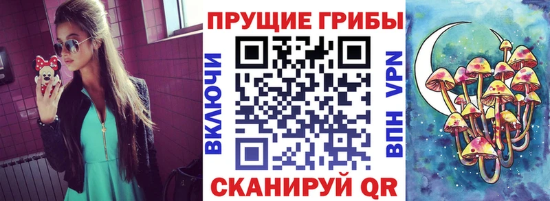 Псилоцибиновые грибы GOLDEN TEACHER  Щёкино 